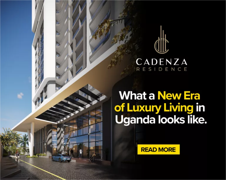 Cadenza project